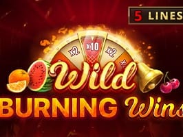 Wild Burning Wins 5 lines game thumbnail